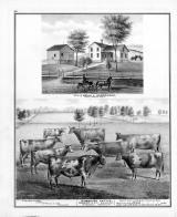 Uriah L. Underwood, Ayrshire Cattle, E.C. Holden, McGrawville